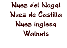 nuez del nogal nuez de castilla nuez inglesa walnut